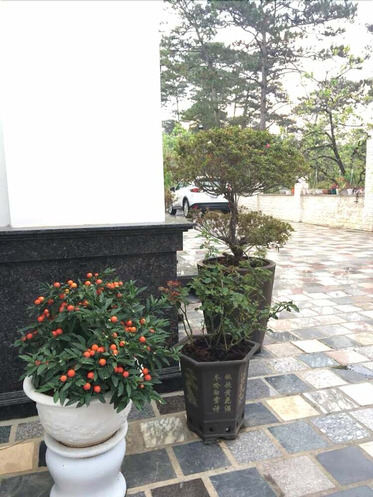 Queen Villa Hotel