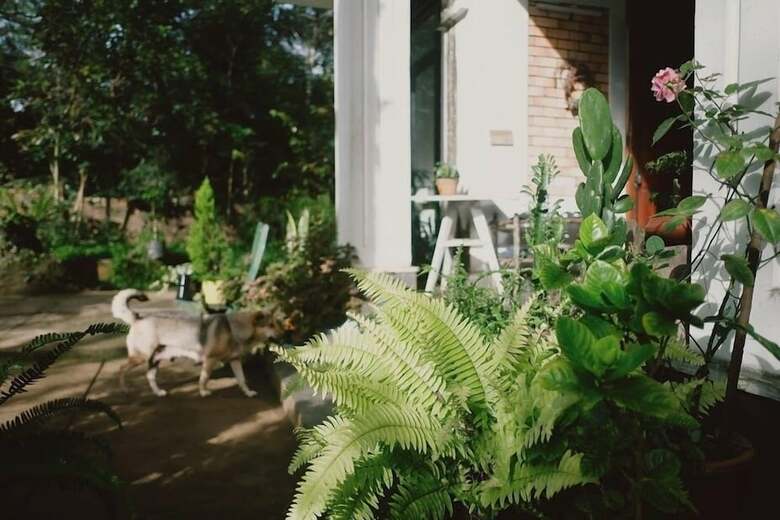 Hostal Sumvilla Homestay - Hostel