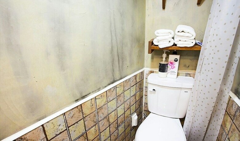 Hotel Borisu Guesthouse