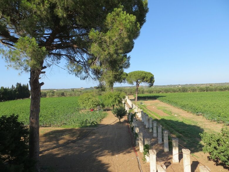 Agroturismo Agriturismo Occhineri