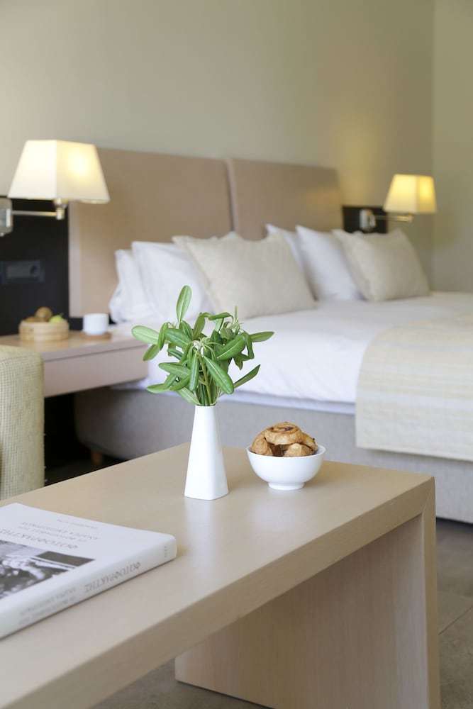 Hotel Porto Carras Sithonia - All Inclusive
