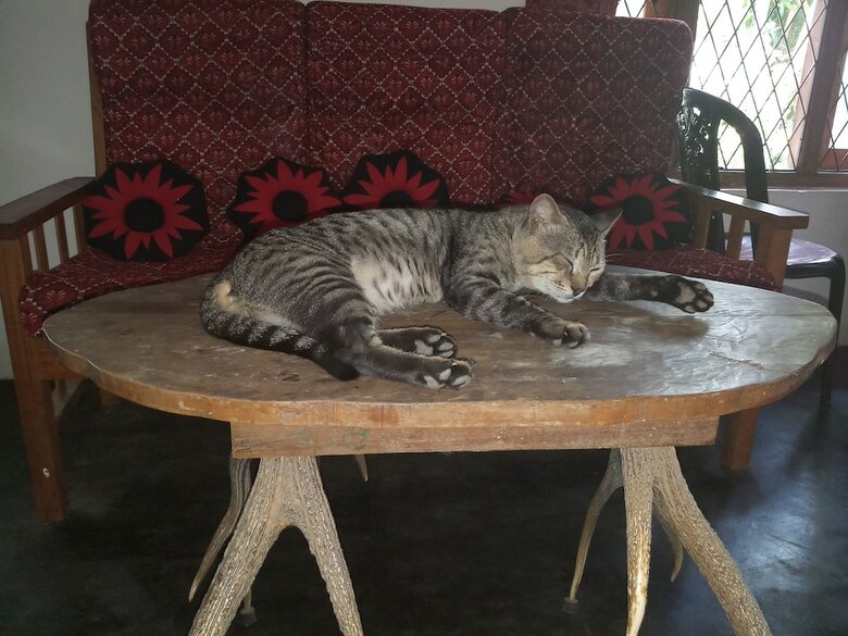 Bed & Breakfast Yala Avian Eye Safari