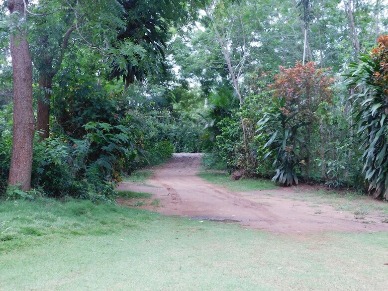 Bed & Breakfast Yala Avian Eye Safari