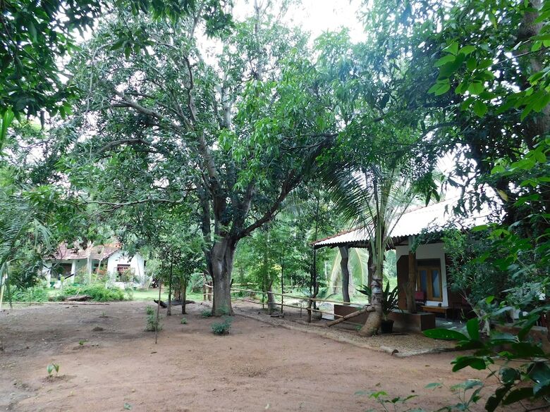 Bed & Breakfast Yala Avian Eye Safari