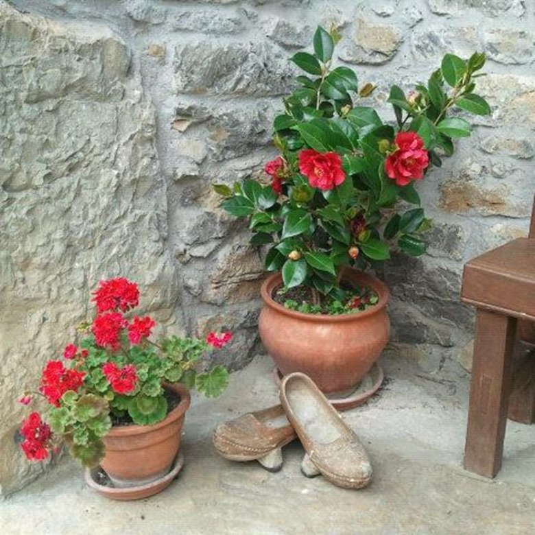 Agroturismo El Colladin