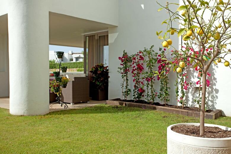 Apartamentos Alanda Los Flamingos