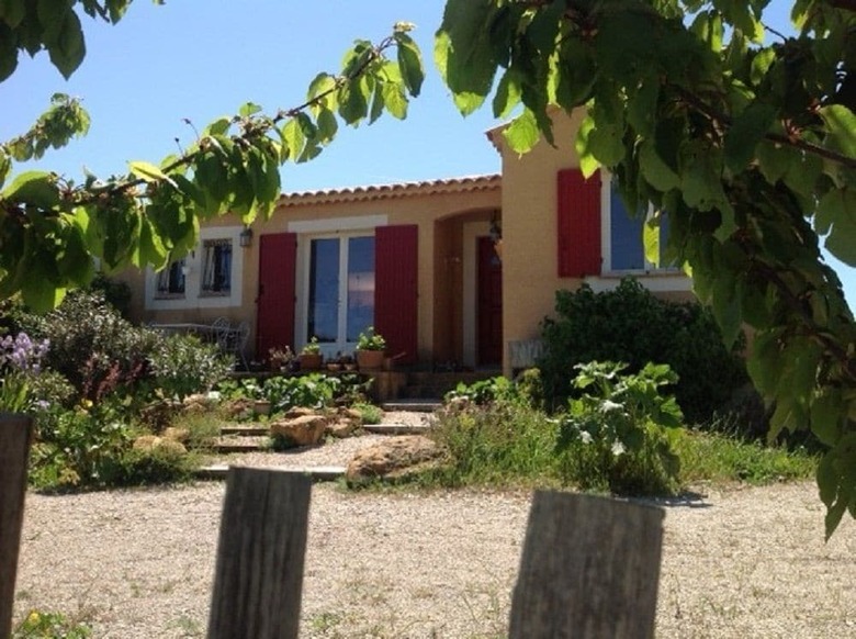 B&B Acanthus