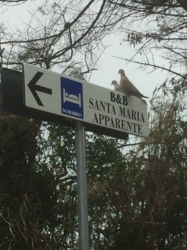 B&B Santa Maria Apparente