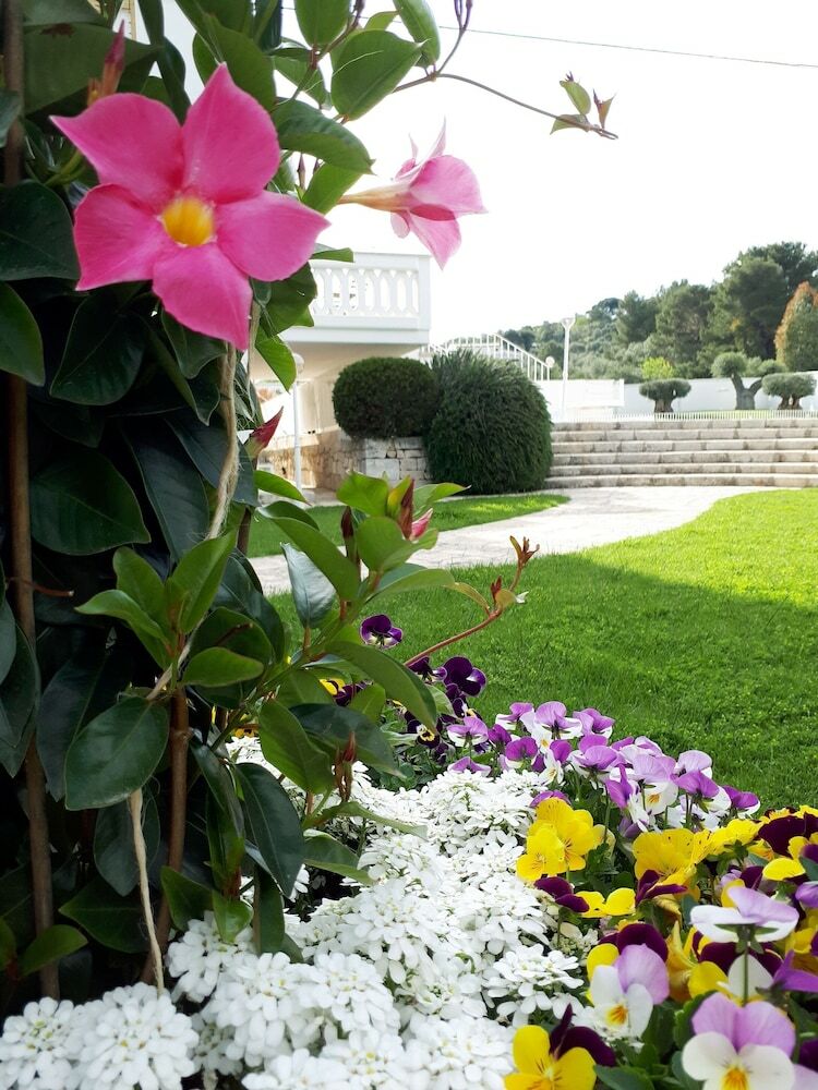 Hotel Villa Natia