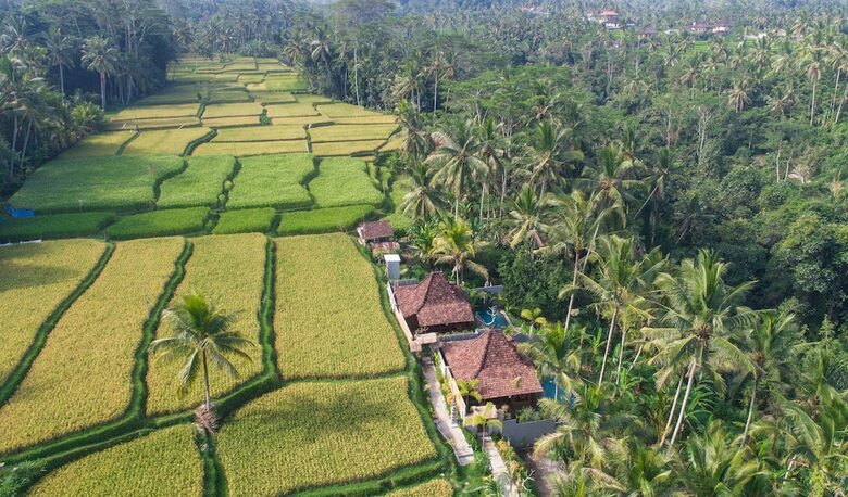 Bed & Breakfast Mandana Ubud Villa