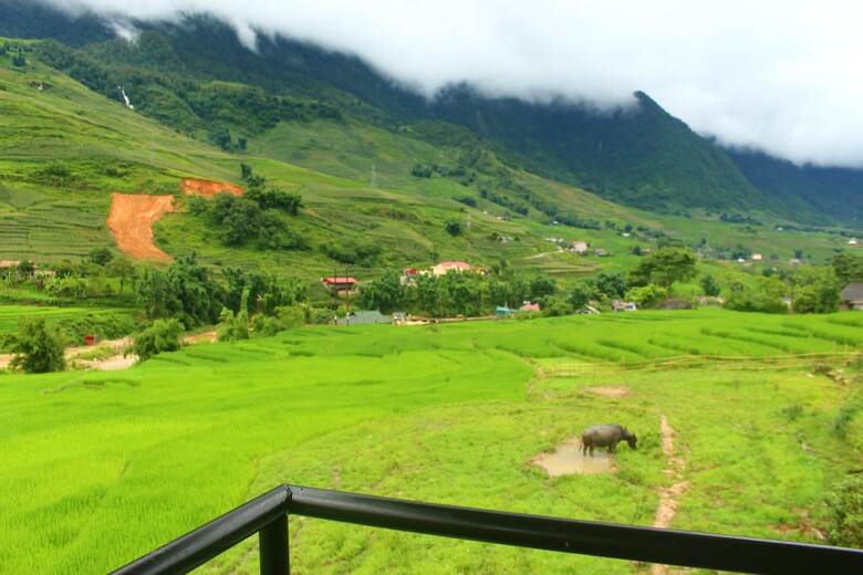 Hostal Sapa Terrace View Homestay - Hostel