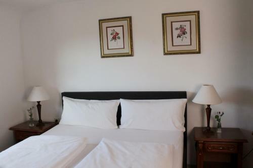 Hotel Viktoria
