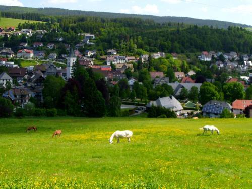 Apartamento Feldbergblick