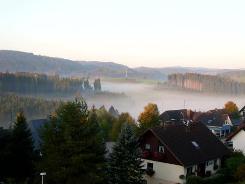 Apartamento Feldbergblick