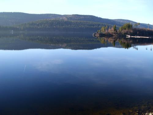 Apartamento Feldbergblick