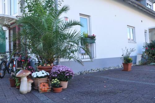 Hostal Double Two Lodge