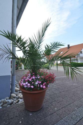 Hostal Double Two Lodge