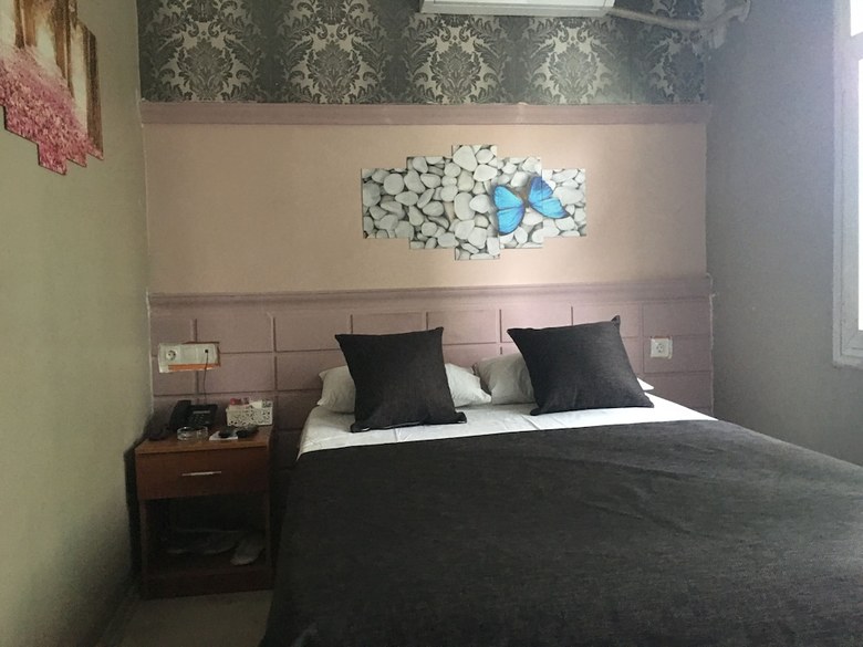 Hotel Asus Palmiye Otel