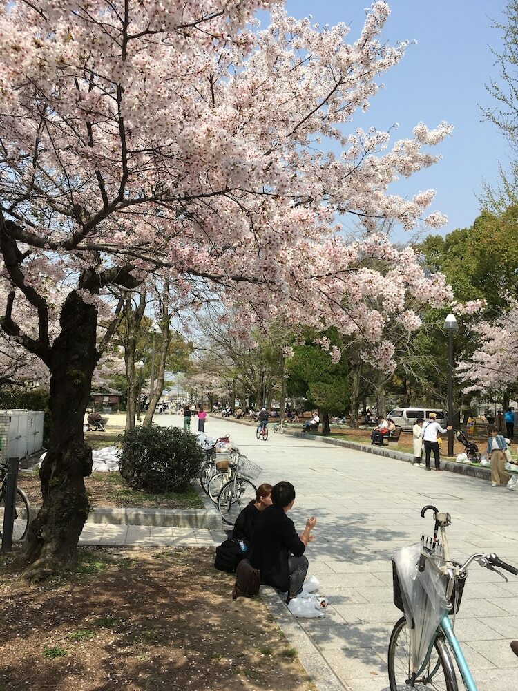 Hostal Hostel Kawateya
