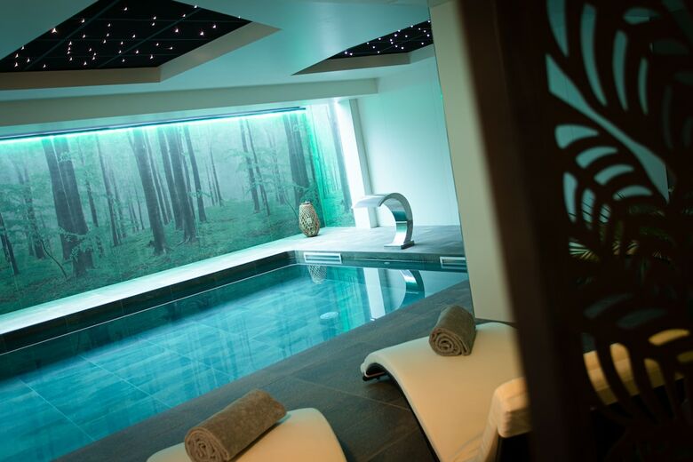Hotel Europe Haguenau - H�tel & Spa