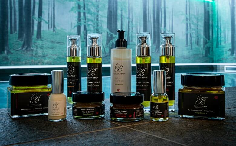 Hotel Europe Haguenau - H�tel & Spa