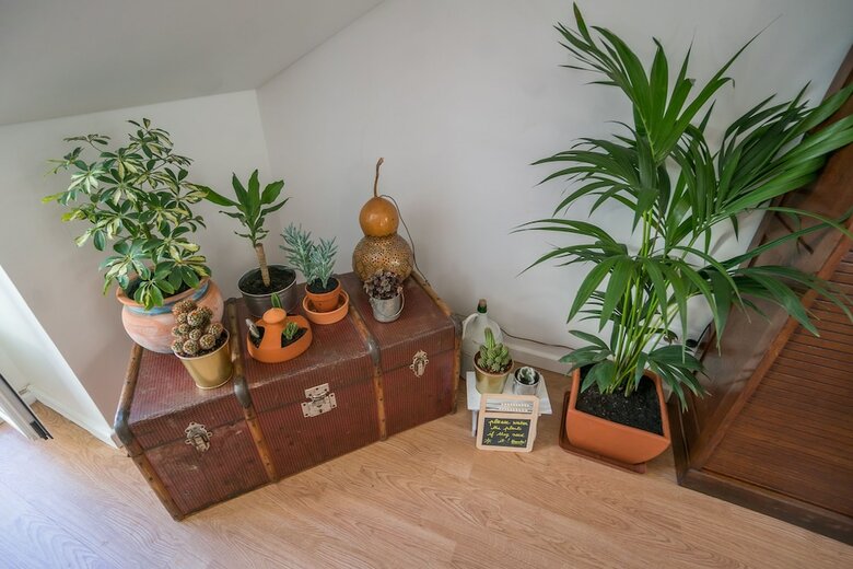 Apartamentos Jolie Gloria With Terrace