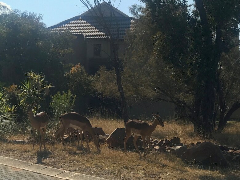Apartamentos Shakala Village