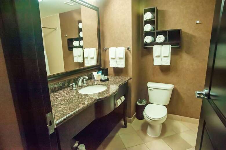 Hotel Hampton Inn & Suites Palestine