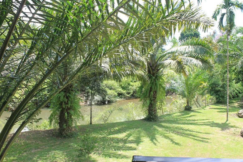 Hotel Khaosok River Camp