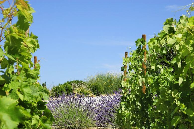 B&B Patios Des Vignes