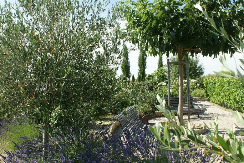B&B Patios Des Vignes