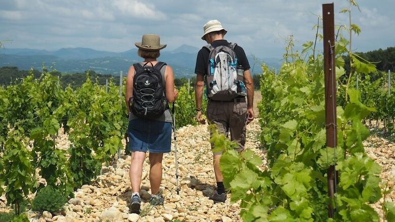 B&B Patios Des Vignes