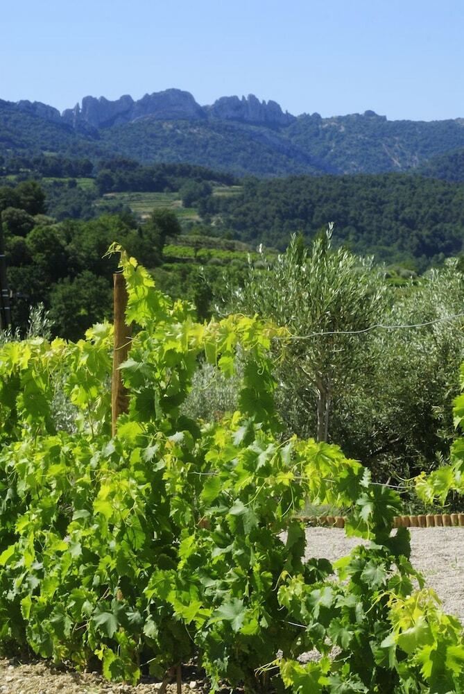 B&B Patios Des Vignes