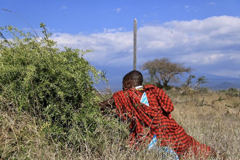 Posada Osiligilai Maasai Lodge
