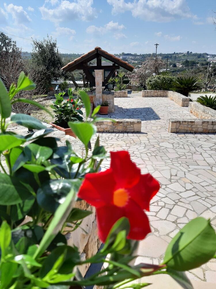 Bed  Breakfast La Rosa Dei Trulli