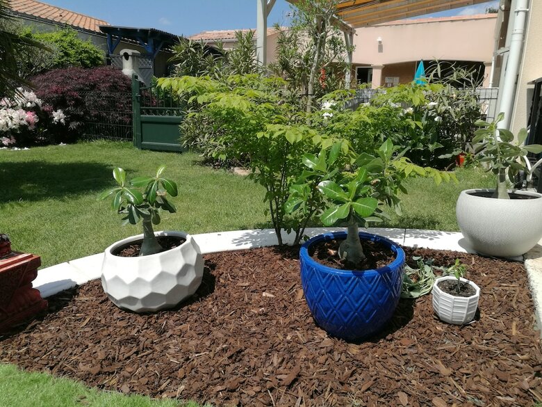 Hotel G�te Le Pavachon