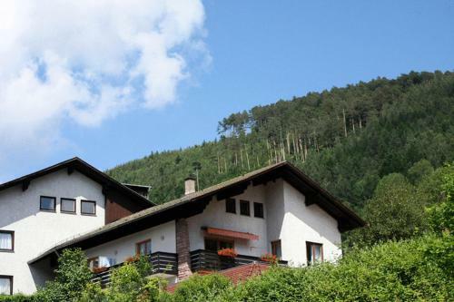 Ferienwohnungen Schwarzwald Panorama