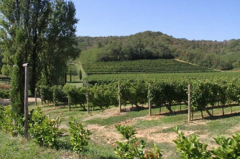 Agroturismo Il Roncal Wine Resort