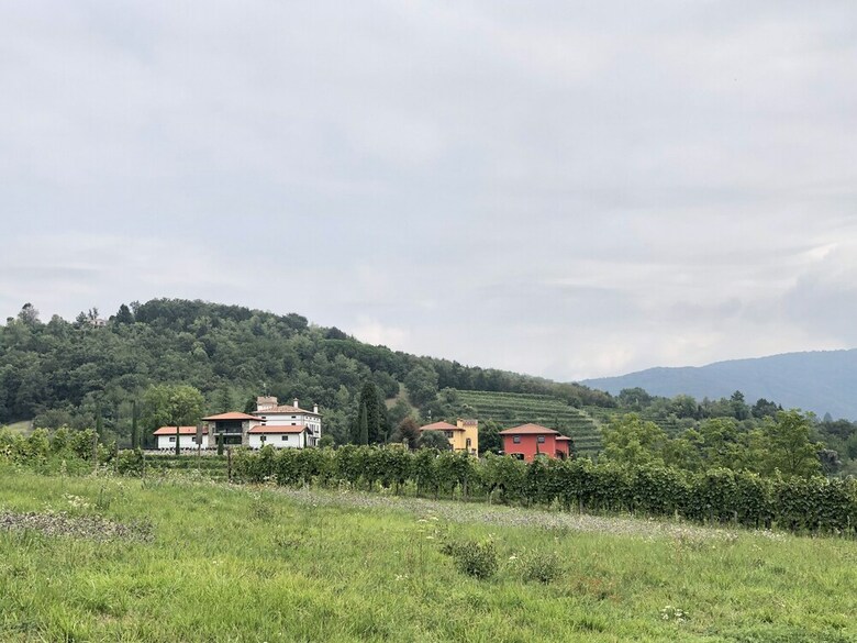 Agroturismo Il Roncal Wine Resort