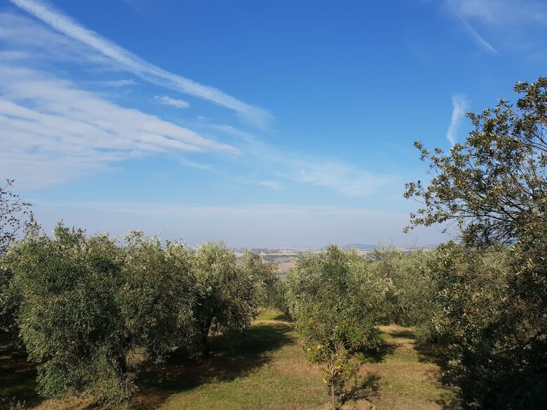 Apartamento Le Maribelle