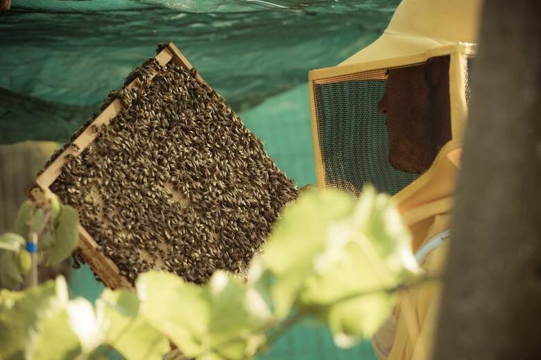 Agroturismo Casa Bassetto