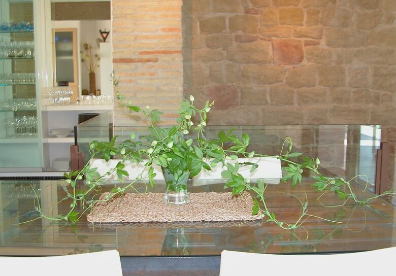 Agroturismo Casa Rural Los Chicos de Lastanosa