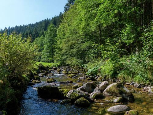 Urlaub Im Schwarzwald
