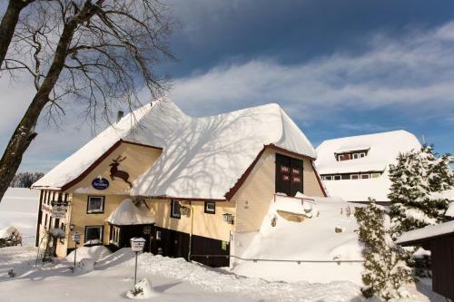 Hostal Gasthaus Zum Hirschen