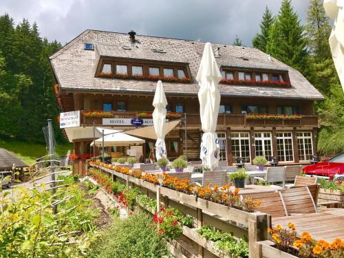 Hotel-restaurant "zur Birke"