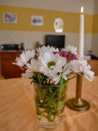 Hostal Pension Haus Friederike