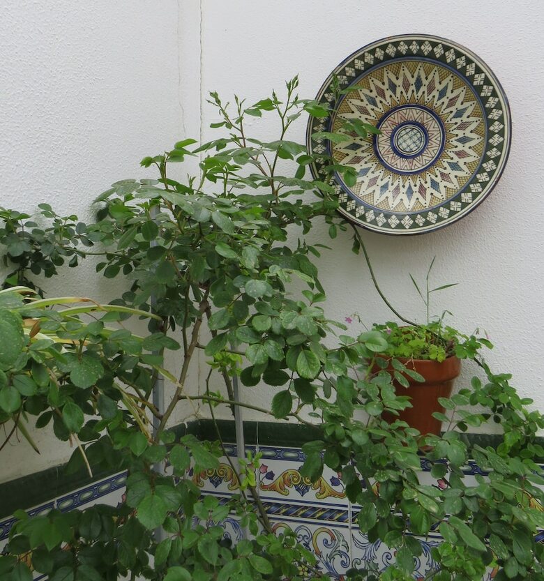 Hotel Xanad� Rural