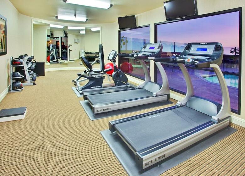 Hotel Holiday Inn Anaheim - Fullerton
