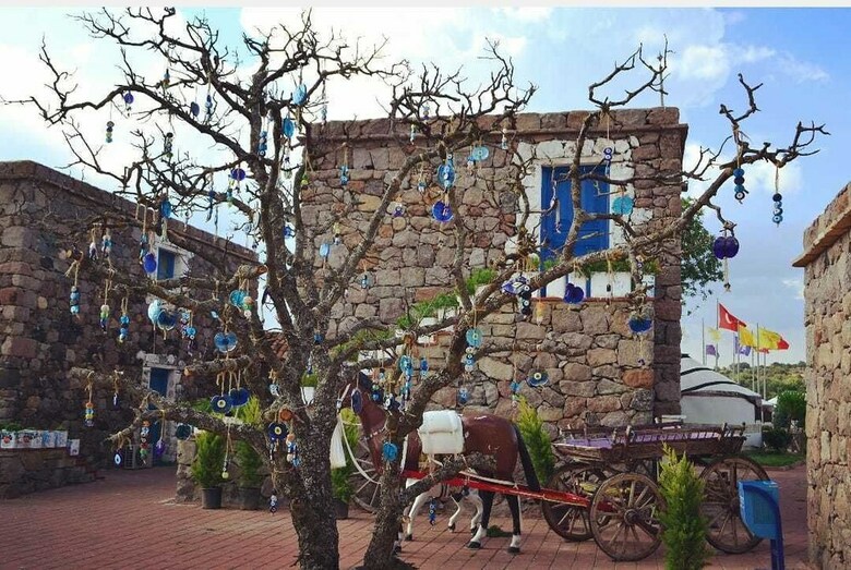 Agroturismo Obasya Kirsal Konaklama Tesisi - Special Class