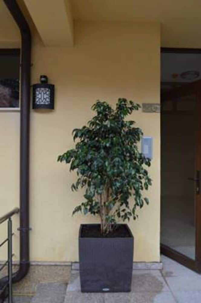 Hotel Bon Bon Home